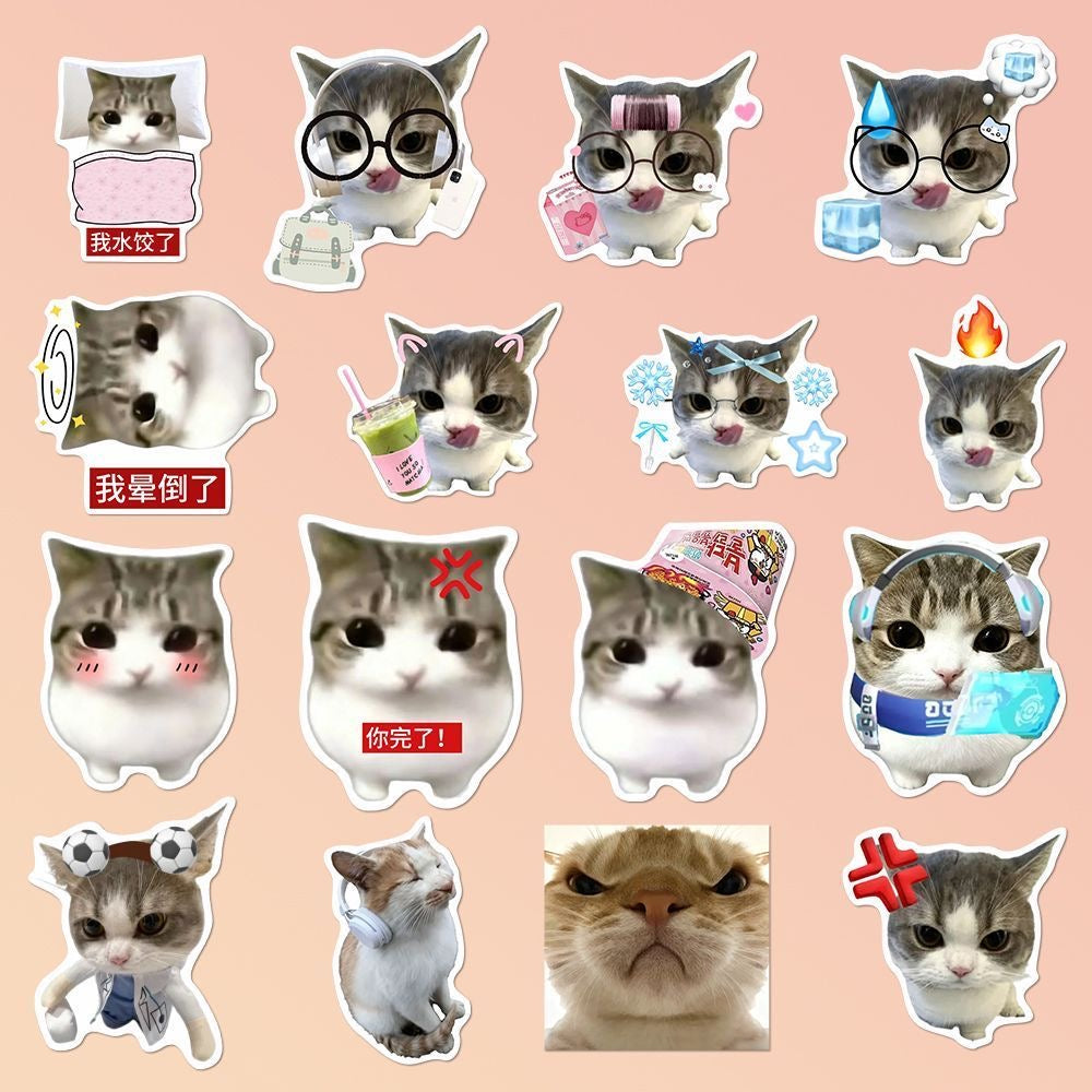 48 Unique Crispy Triangle Cat Meme Stickers
