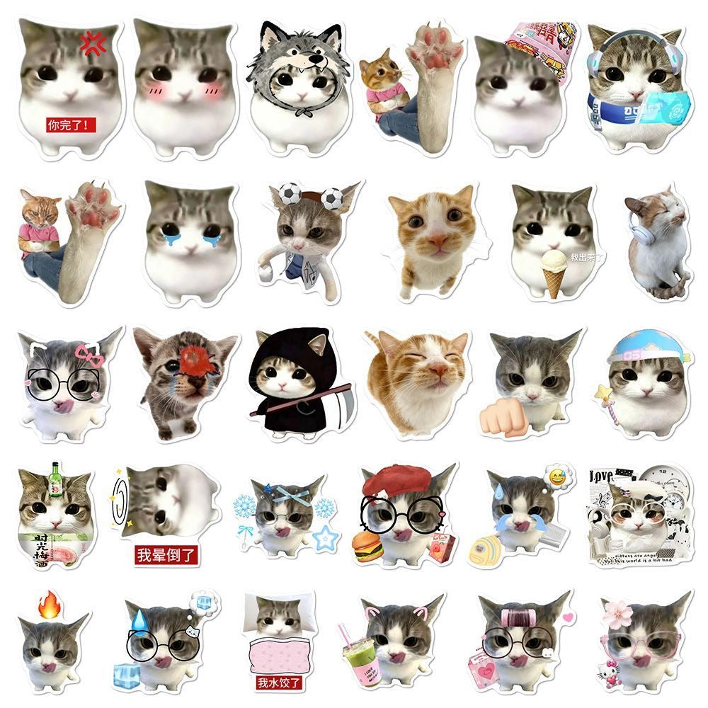 48 Unique Crispy Triangle Cat Meme Stickers