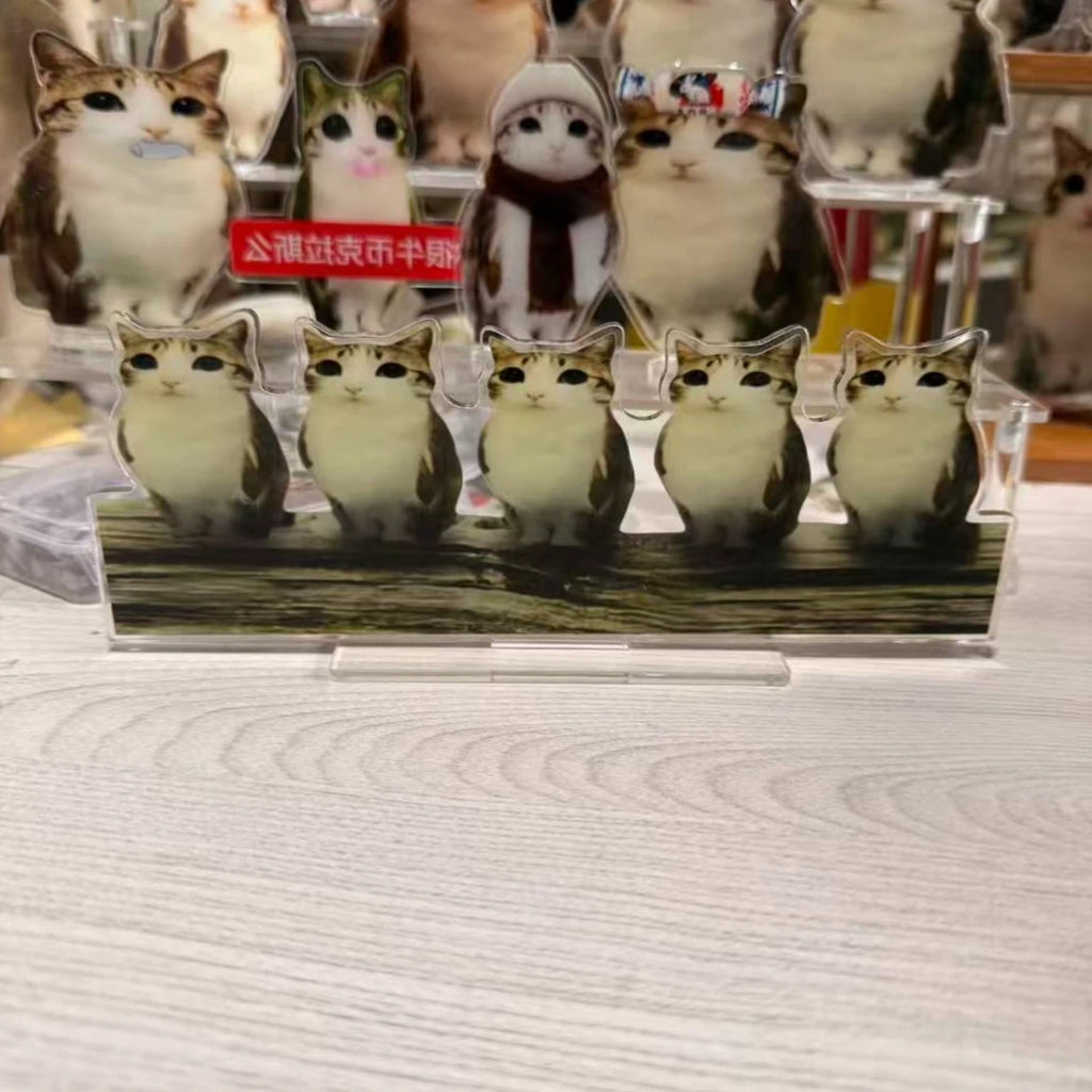 Acrylic meowl  Standee Ornament