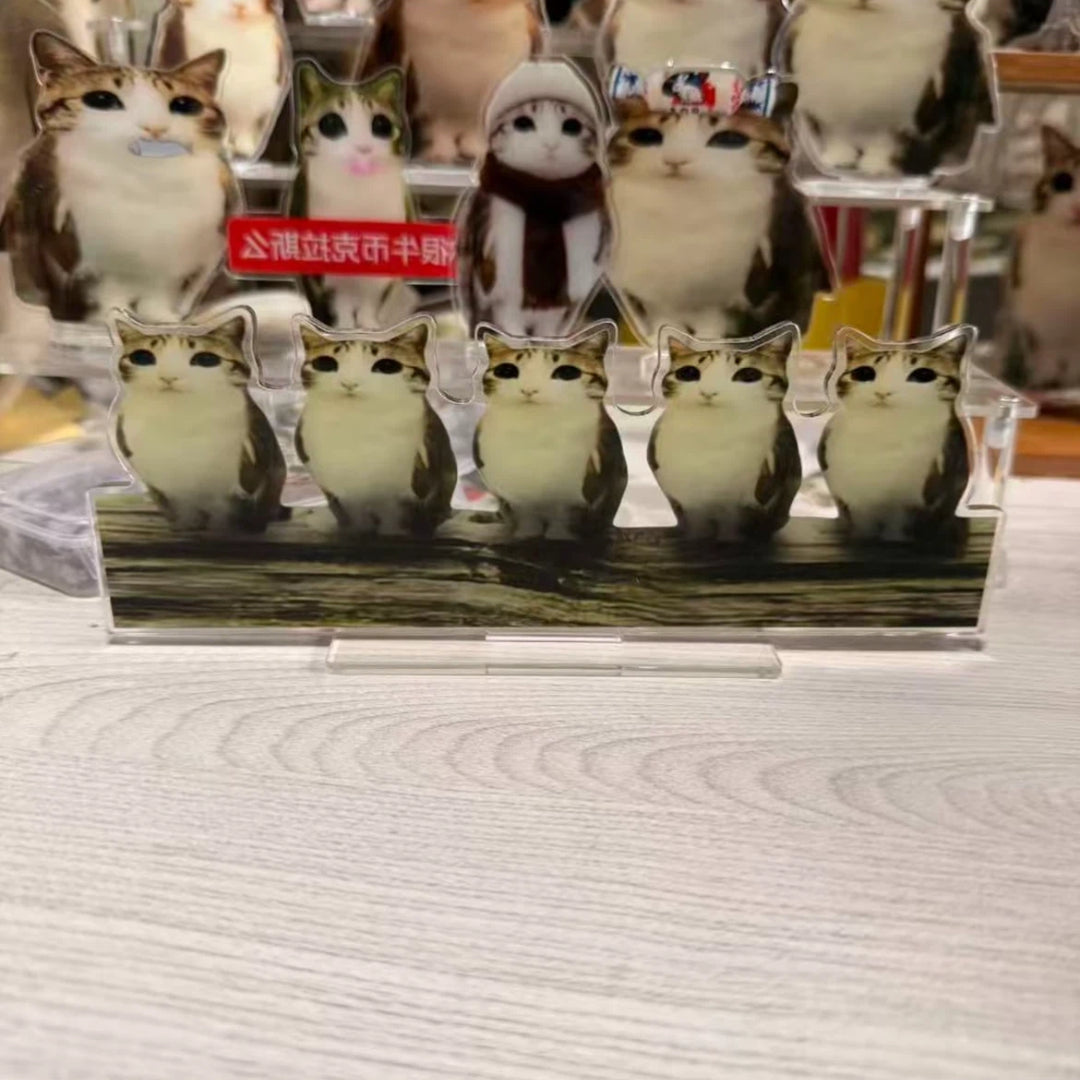 Acrylic meowl  Standee Ornament