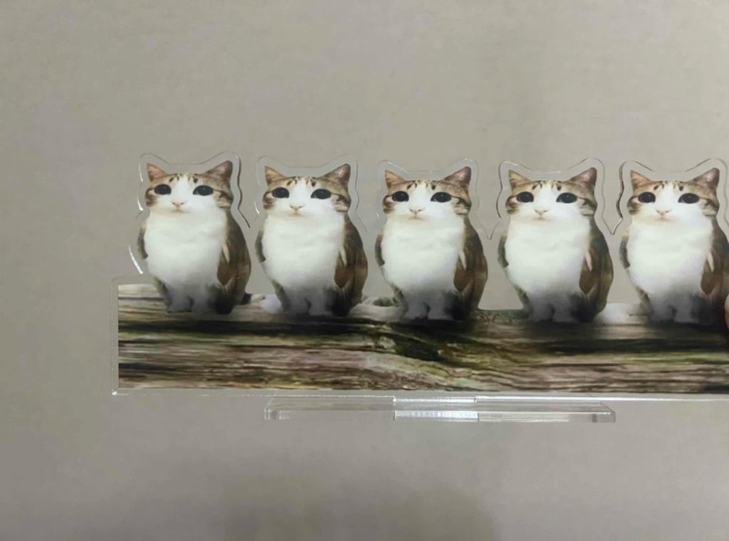 Acrylic meowl  Standee Ornament