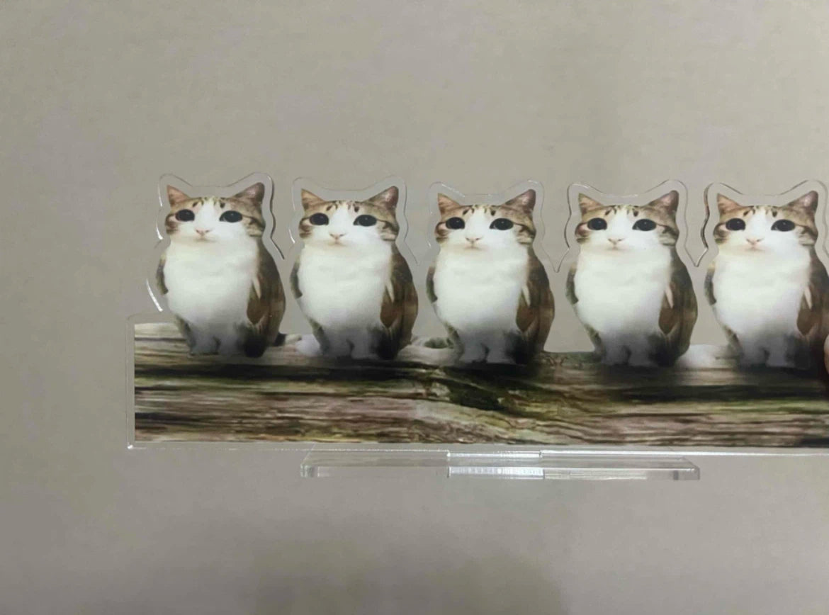 Acrylic meowl  Standee Ornament