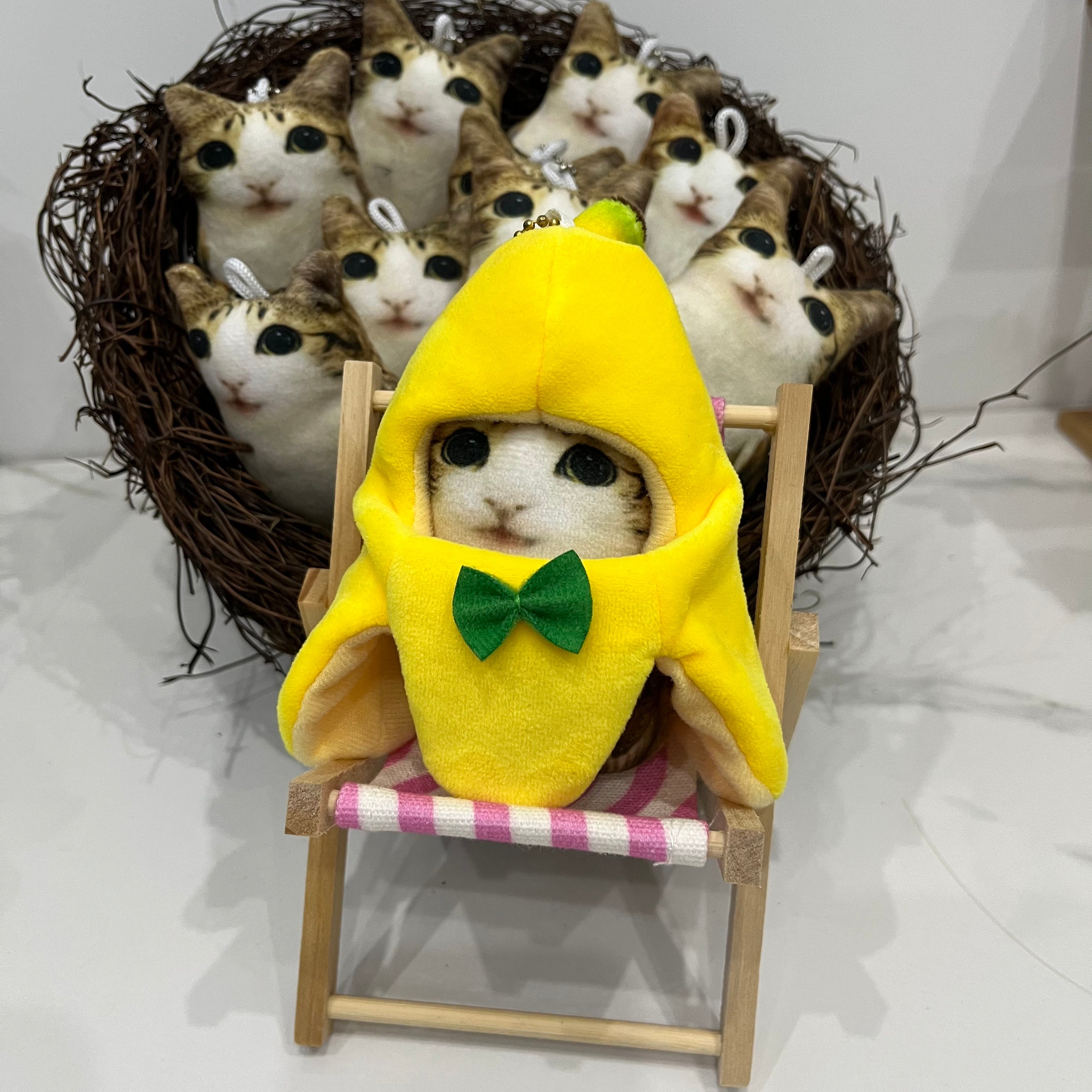 Get the same outfit as Meowl