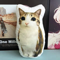 Standard Version Meowl Pillow