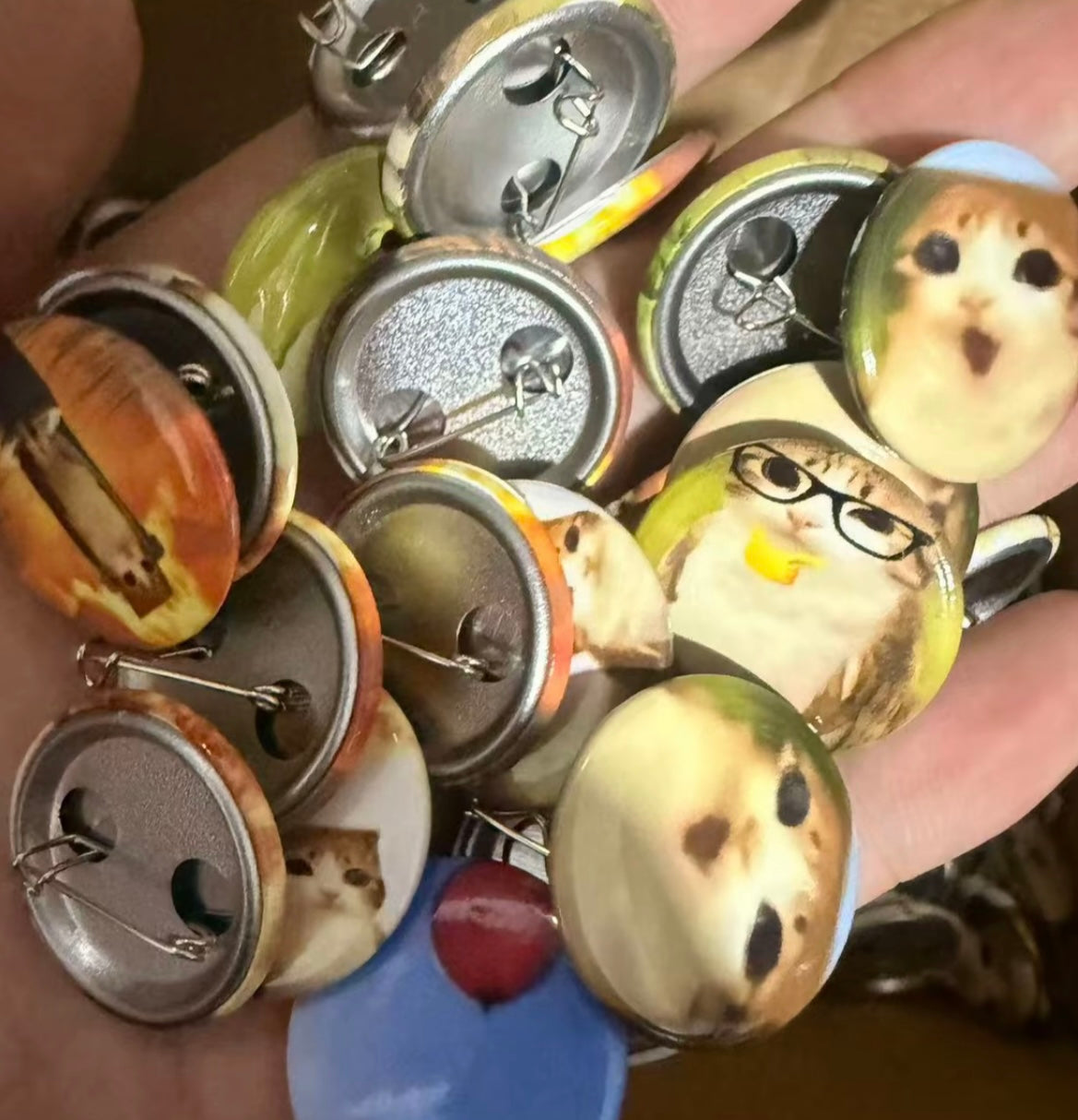 Meowl Series Badges（12 pieces per box）