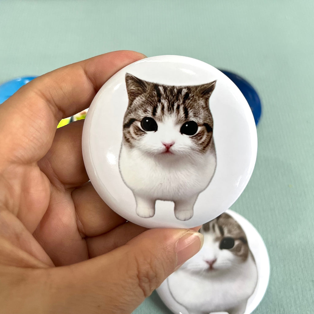 Cheesy Triangle Cat Badge