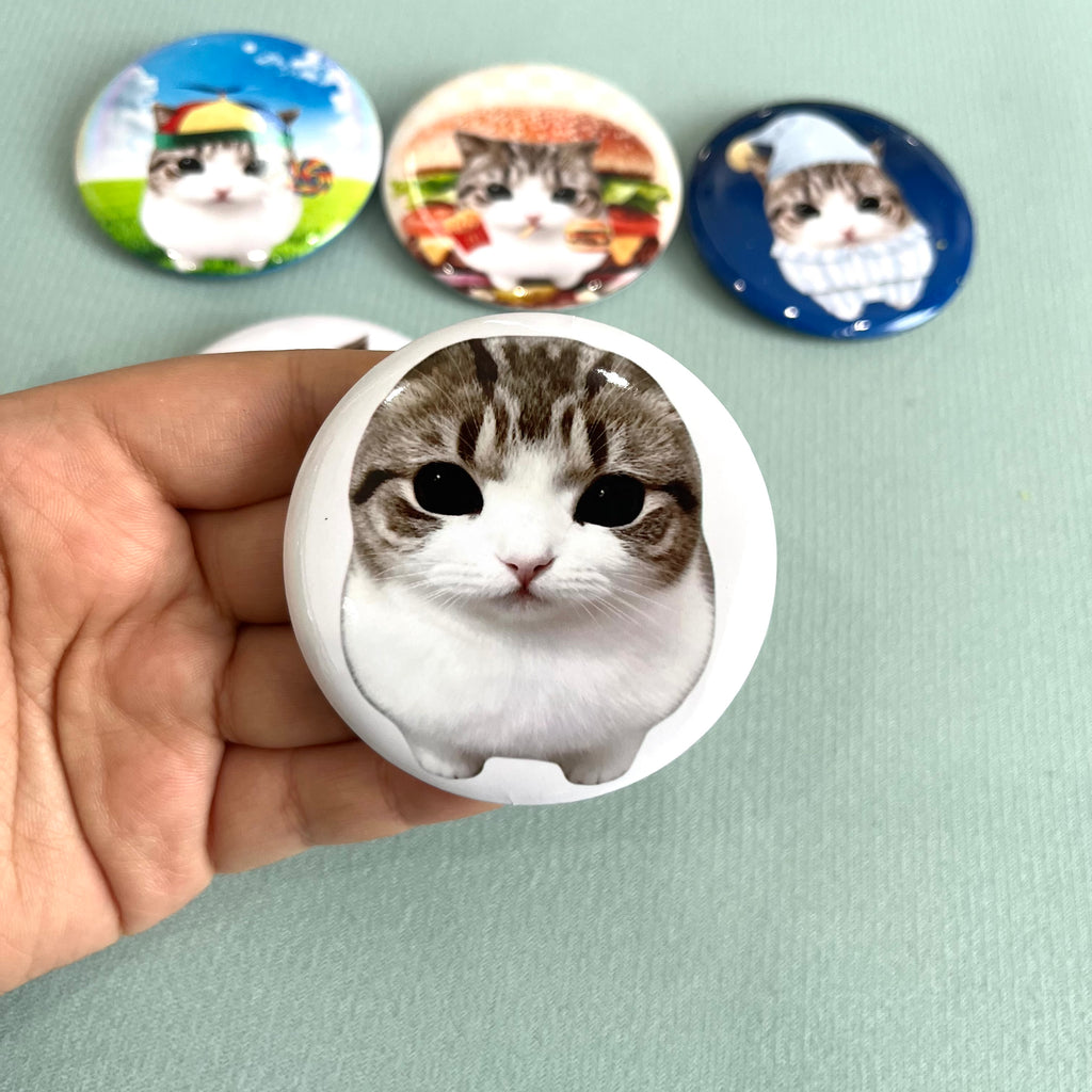 Cheesy Triangle Cat Badge