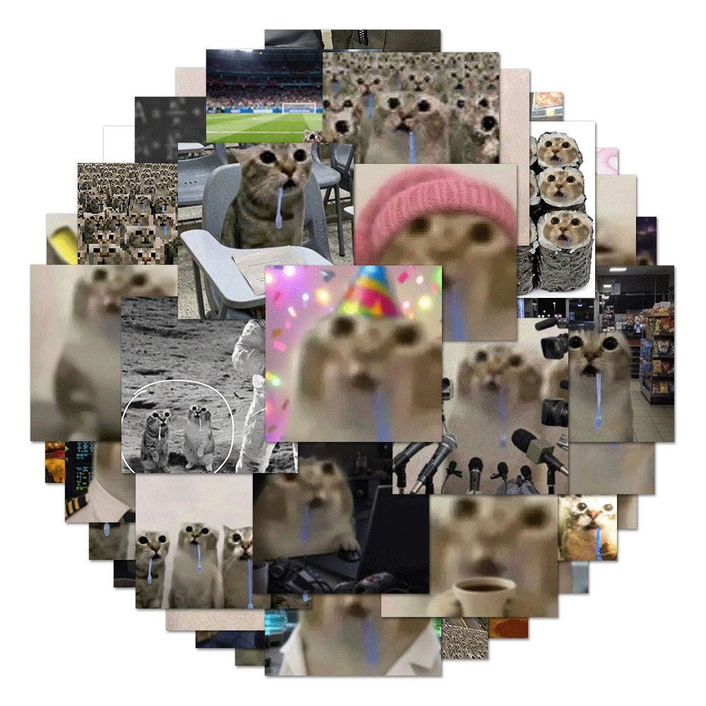 Abstract‑Style Drooling Cat Meme Stickers（1 set, 48 unique pieces）