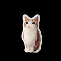 Meowl Trio Plush Pillow（Double‑Sided Print）