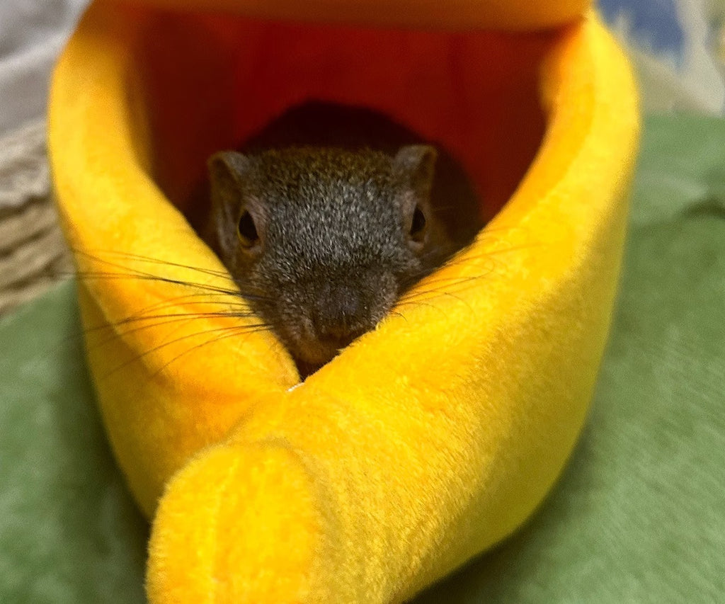 Banana‑Shaped Pet Bed