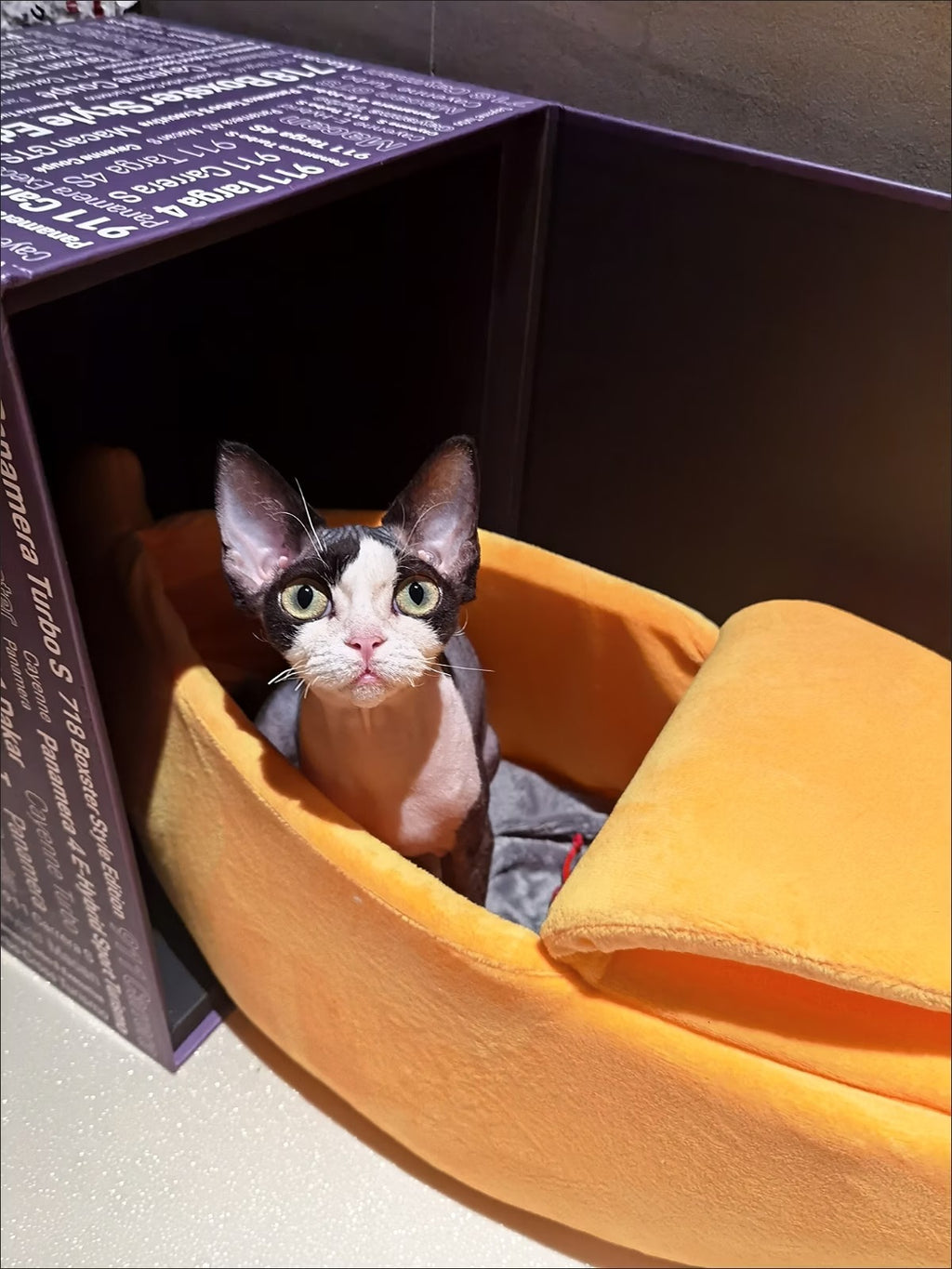 Banana‑Shaped Pet Bed