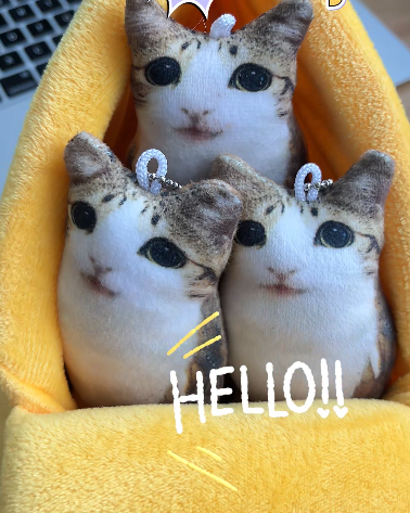 Banana‑Shaped Pet Bed