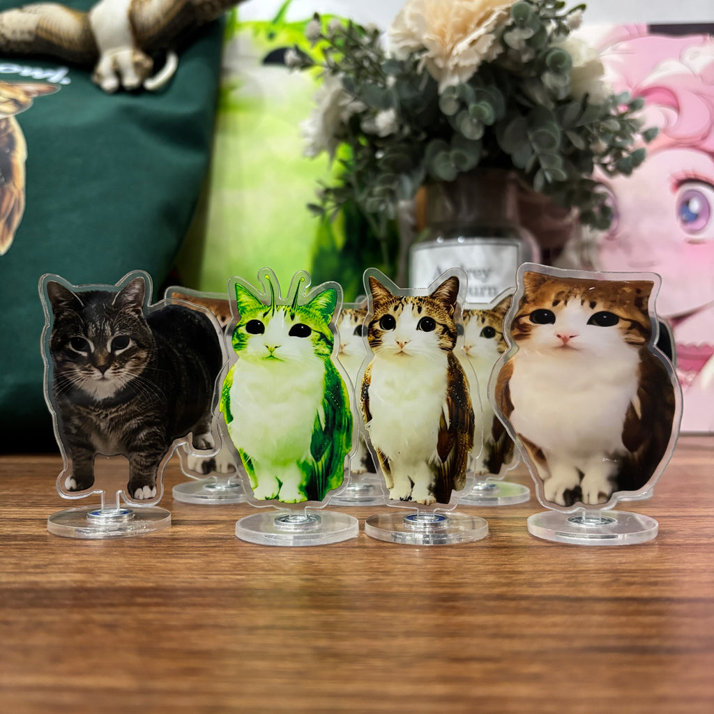 Meowl Rotating Acrylic Stand