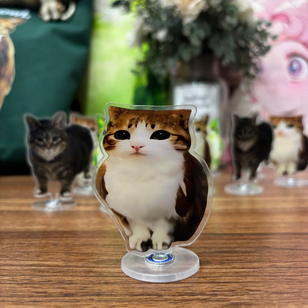 Meowl Rotating Acrylic Stand
