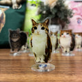 Meowl Rotating Acrylic Stand