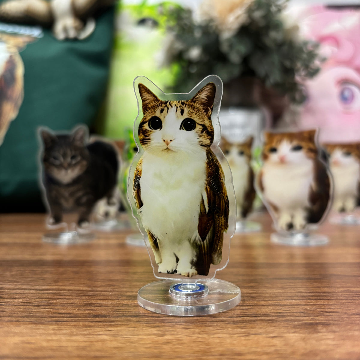 Meowl Rotating Acrylic Stand