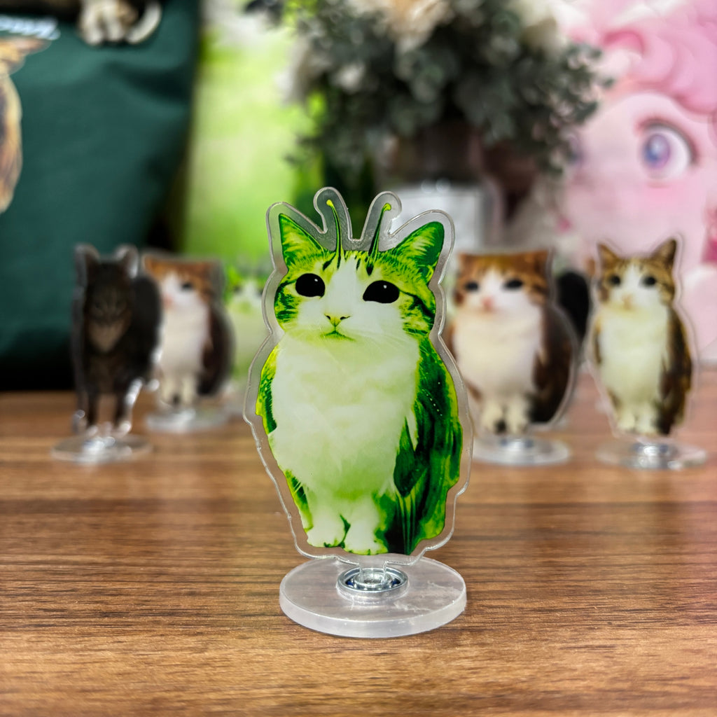 Meowl Rotating Acrylic Stand