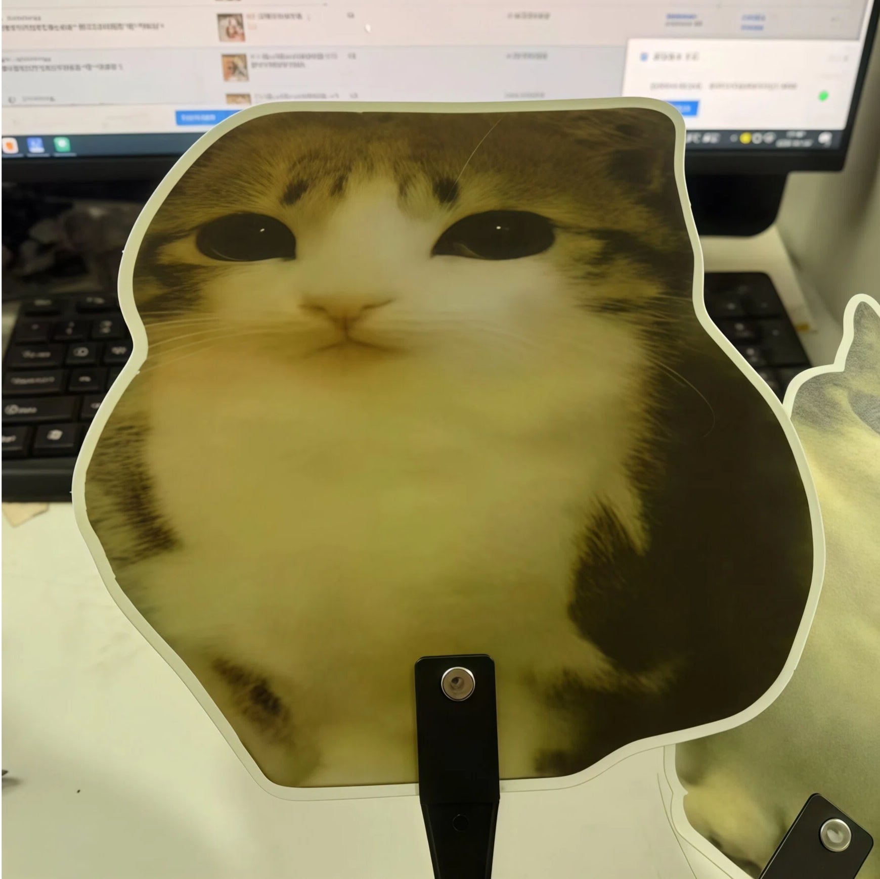 Cute Meowl Fan