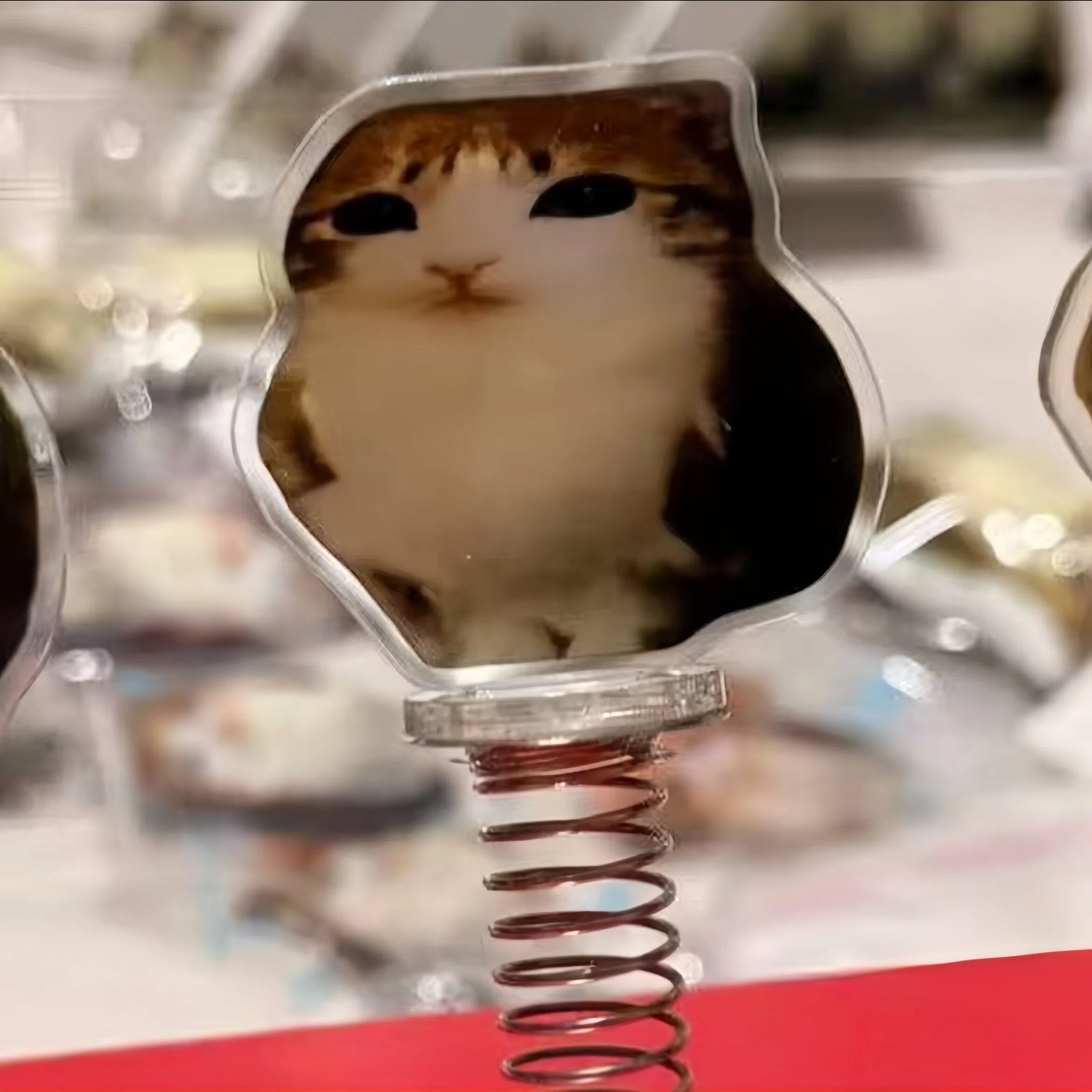 Meowl Series Shaker Charms