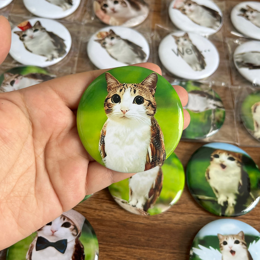 Meowl Badge