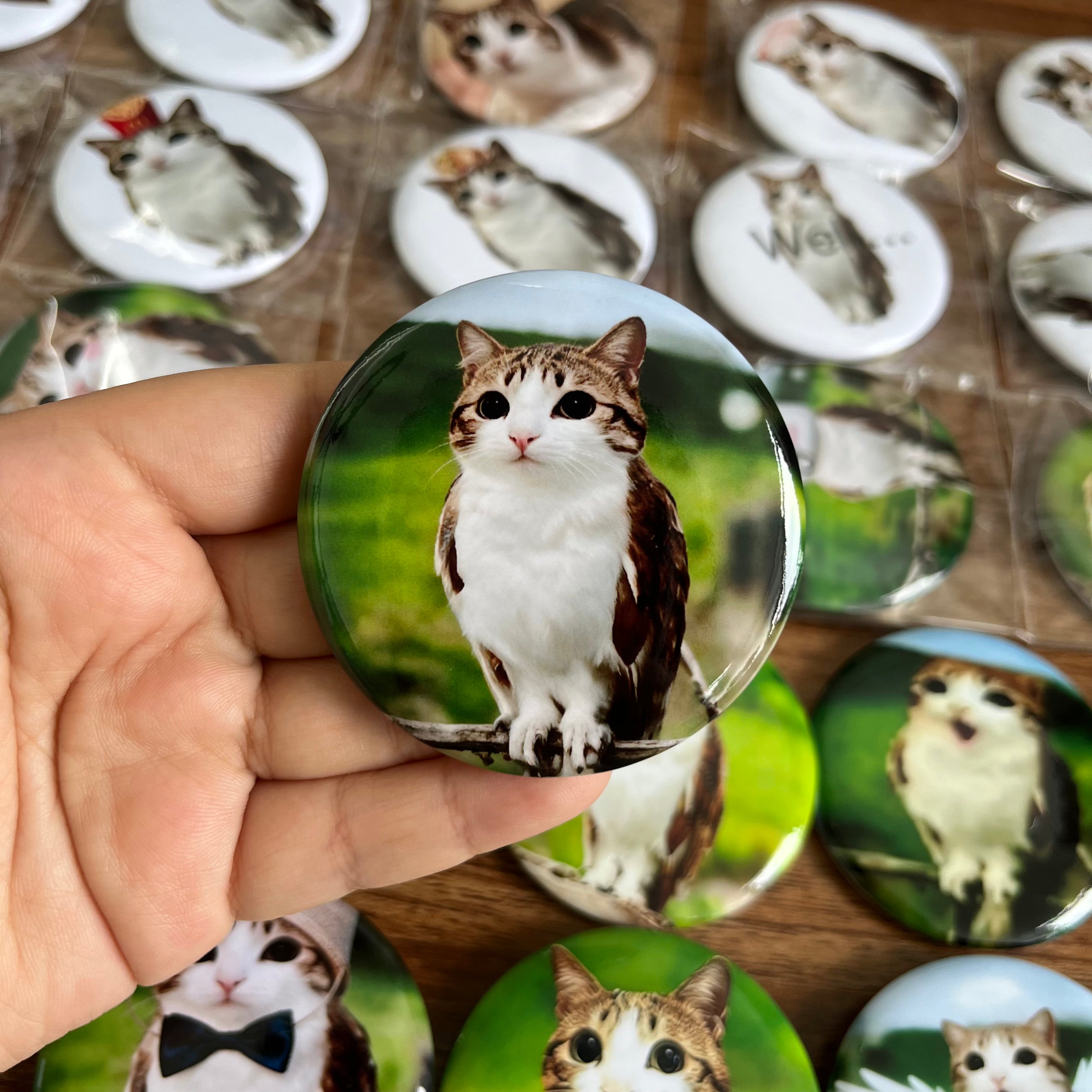 Meowl Badge