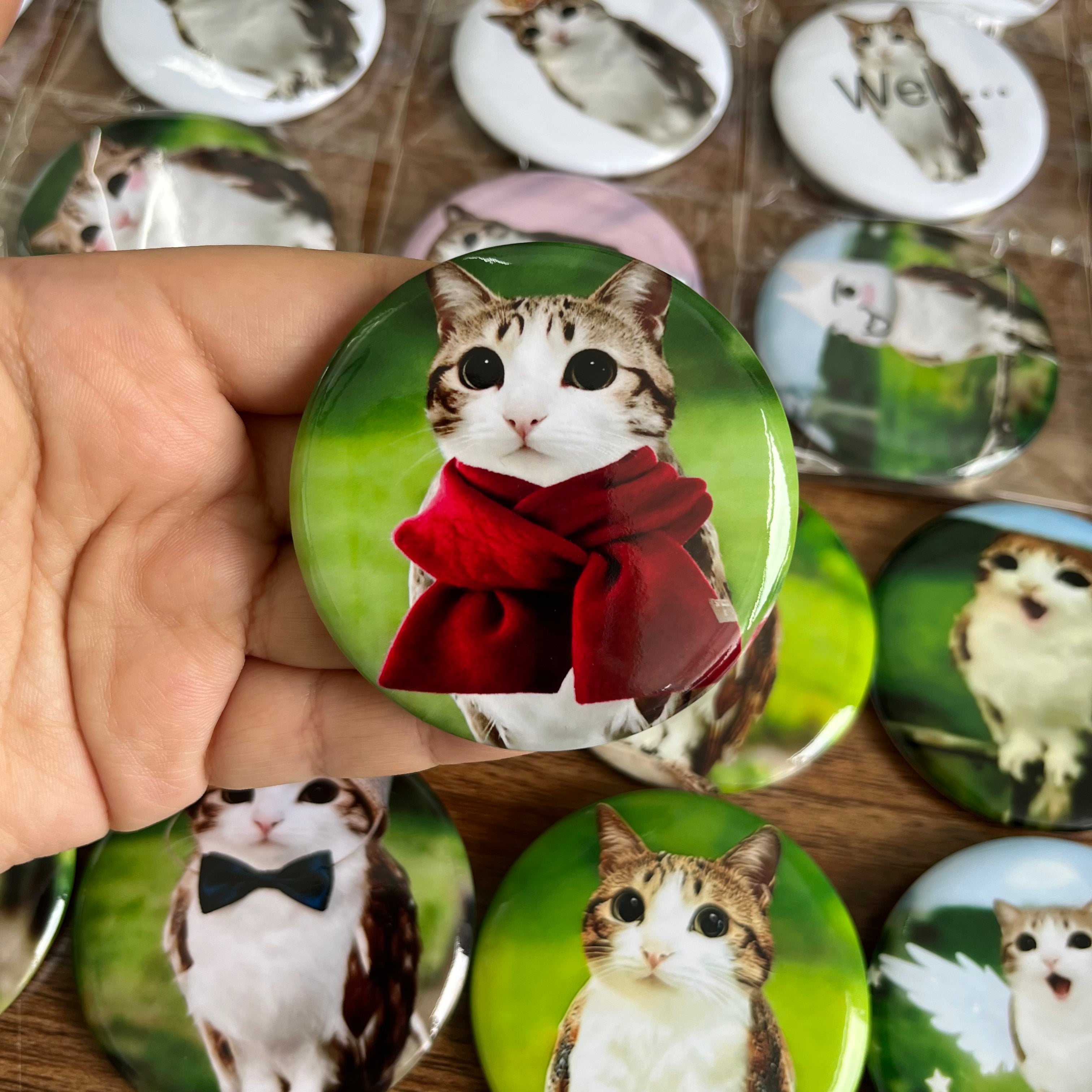 Meowl Badge