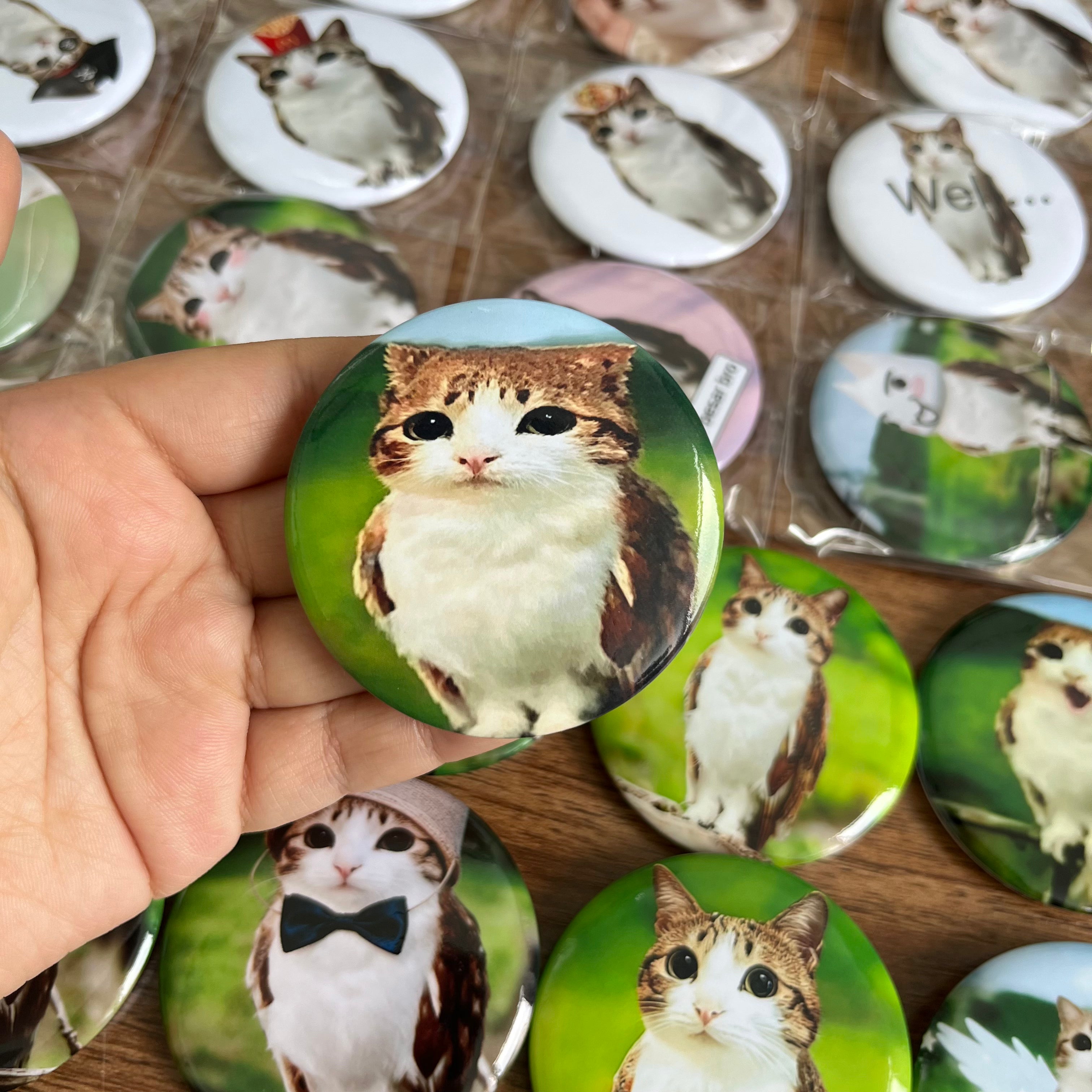 Meowl Badge