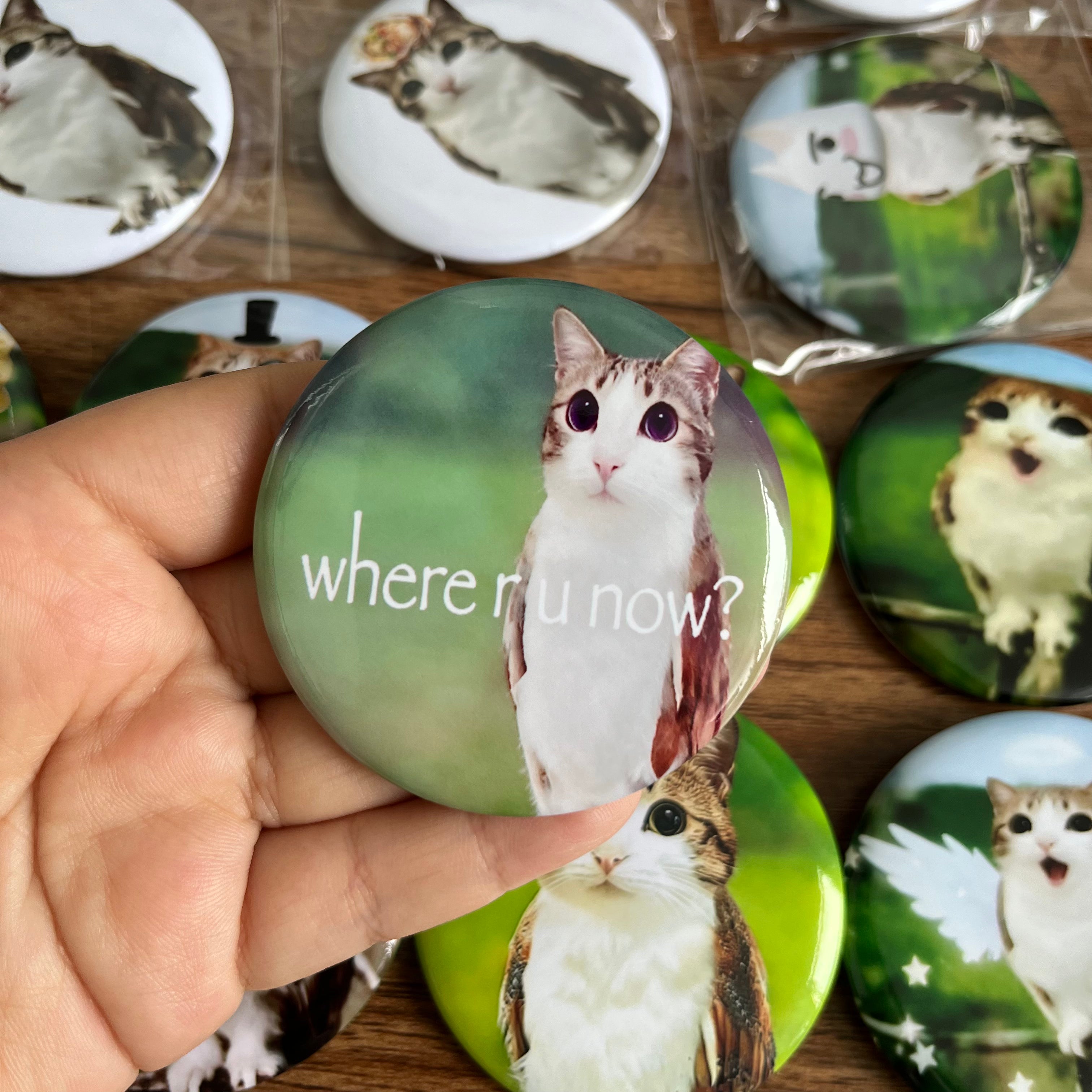 Meowl Badge