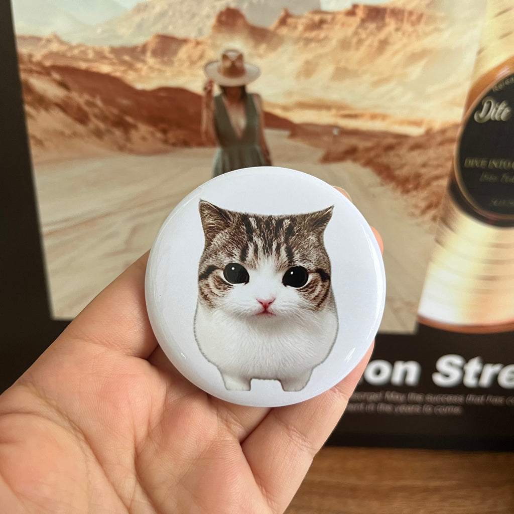 Cheesy Triangle Cat Badge