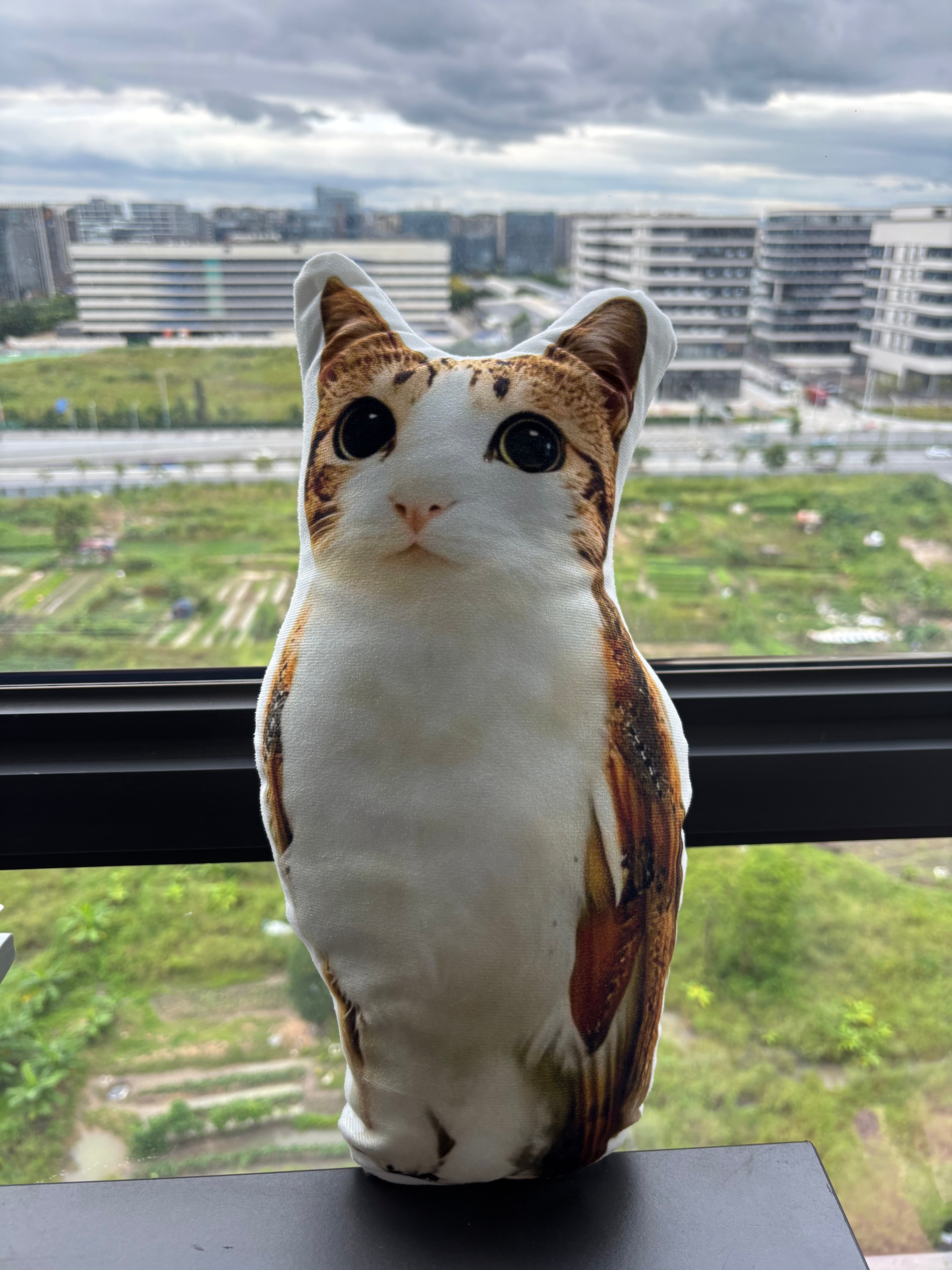 Standard Version Meowl Pillow（Double‑Sided Print）