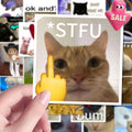 62 funny cat stickers