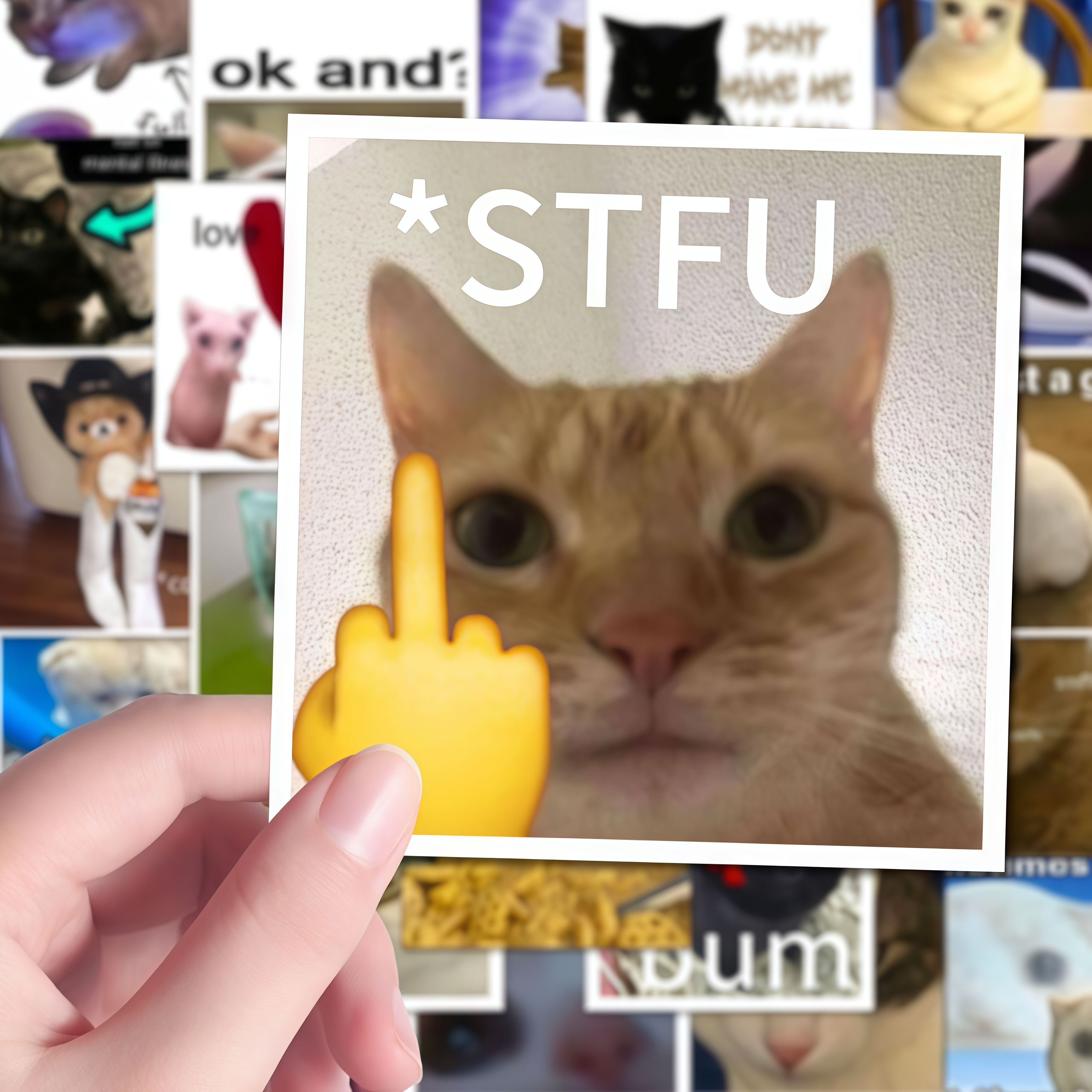 62 funny cat stickers