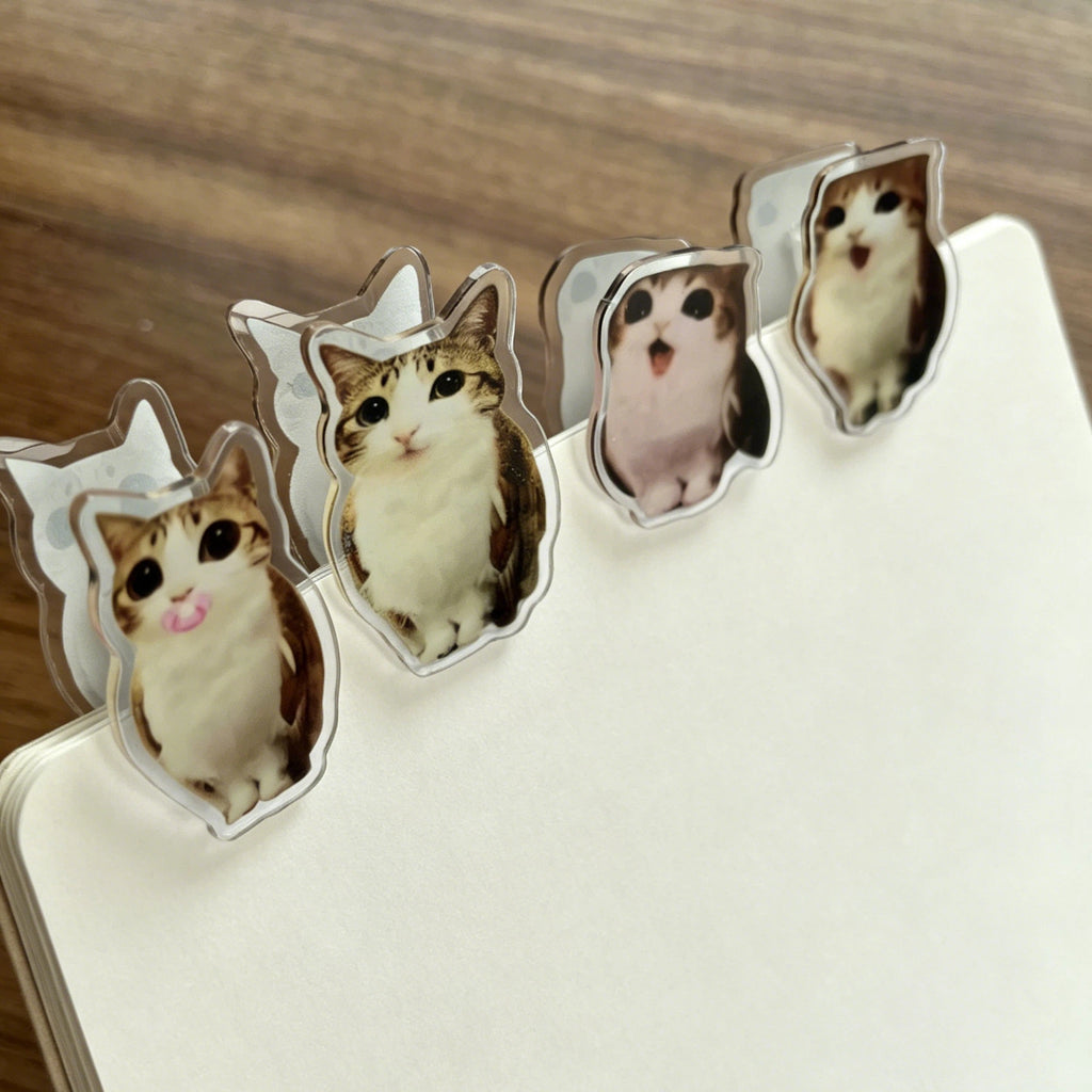 Meowl Series File Folders (Set of 4)
