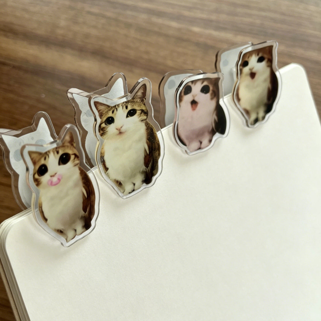 Meowl Series File Folders (Set of 4)