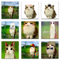 59  meowl  Stickers