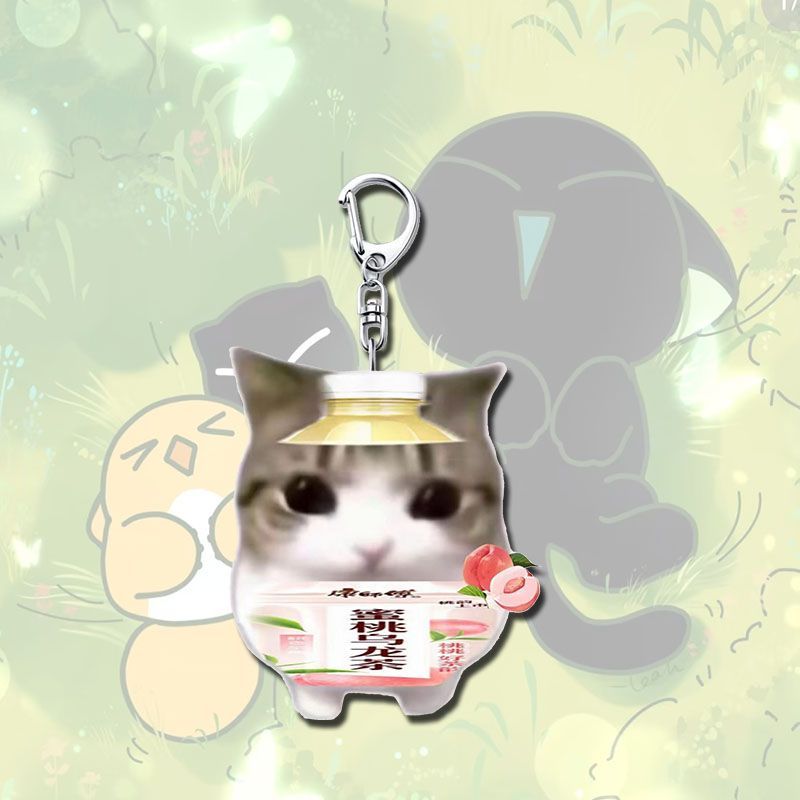 Crispy Triangle Cat Meme Keychain