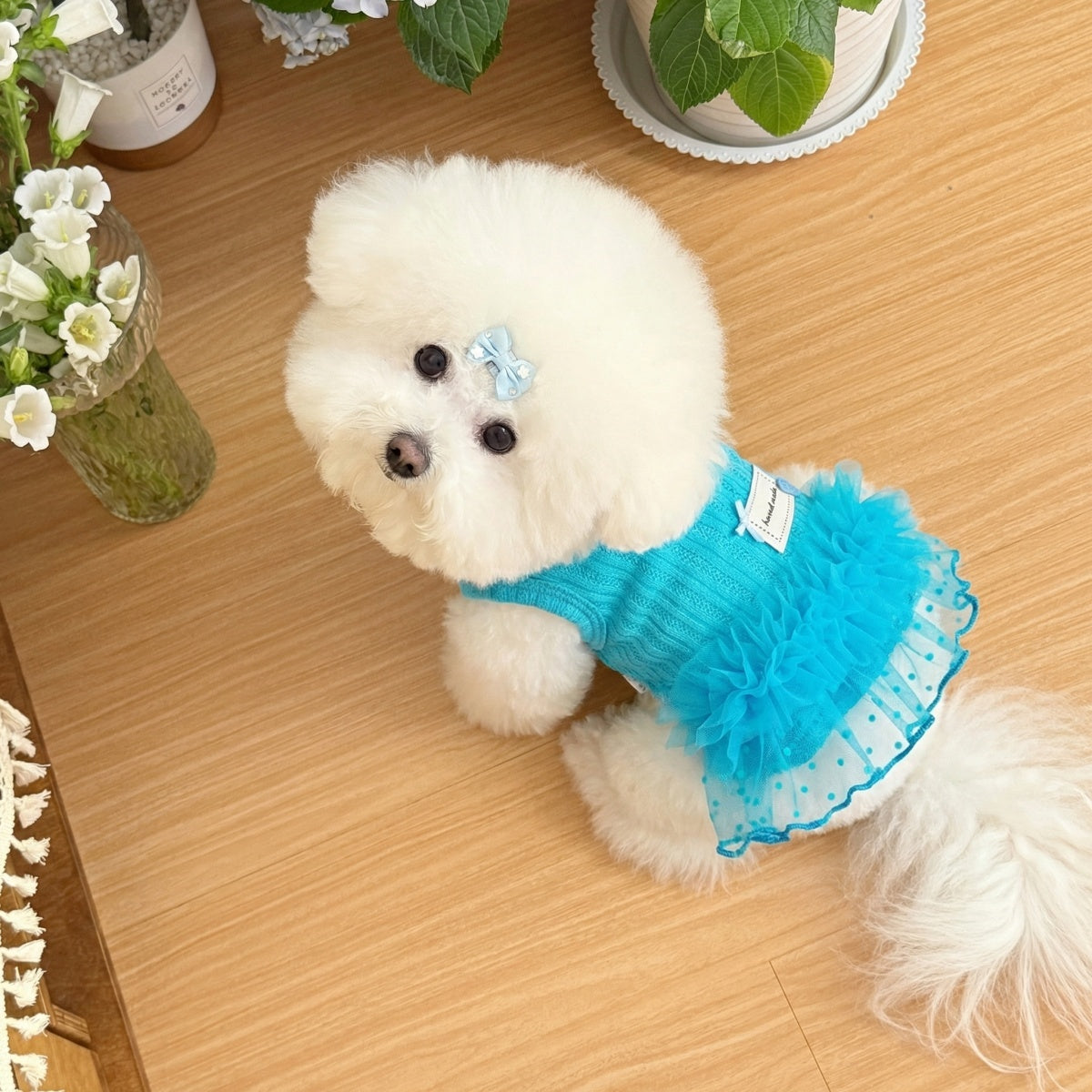 Sweet Blue Mesh Tutu Pet Dress, Soft Knit Princess Outfit for Small Puppies and Cats