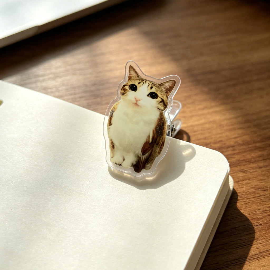 Meowl Series File Folders (Set of 4)