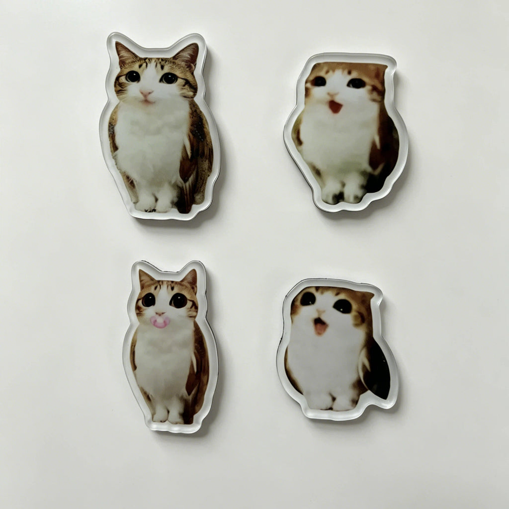 Meowl Series Fridge Magnets（Set of 4）
