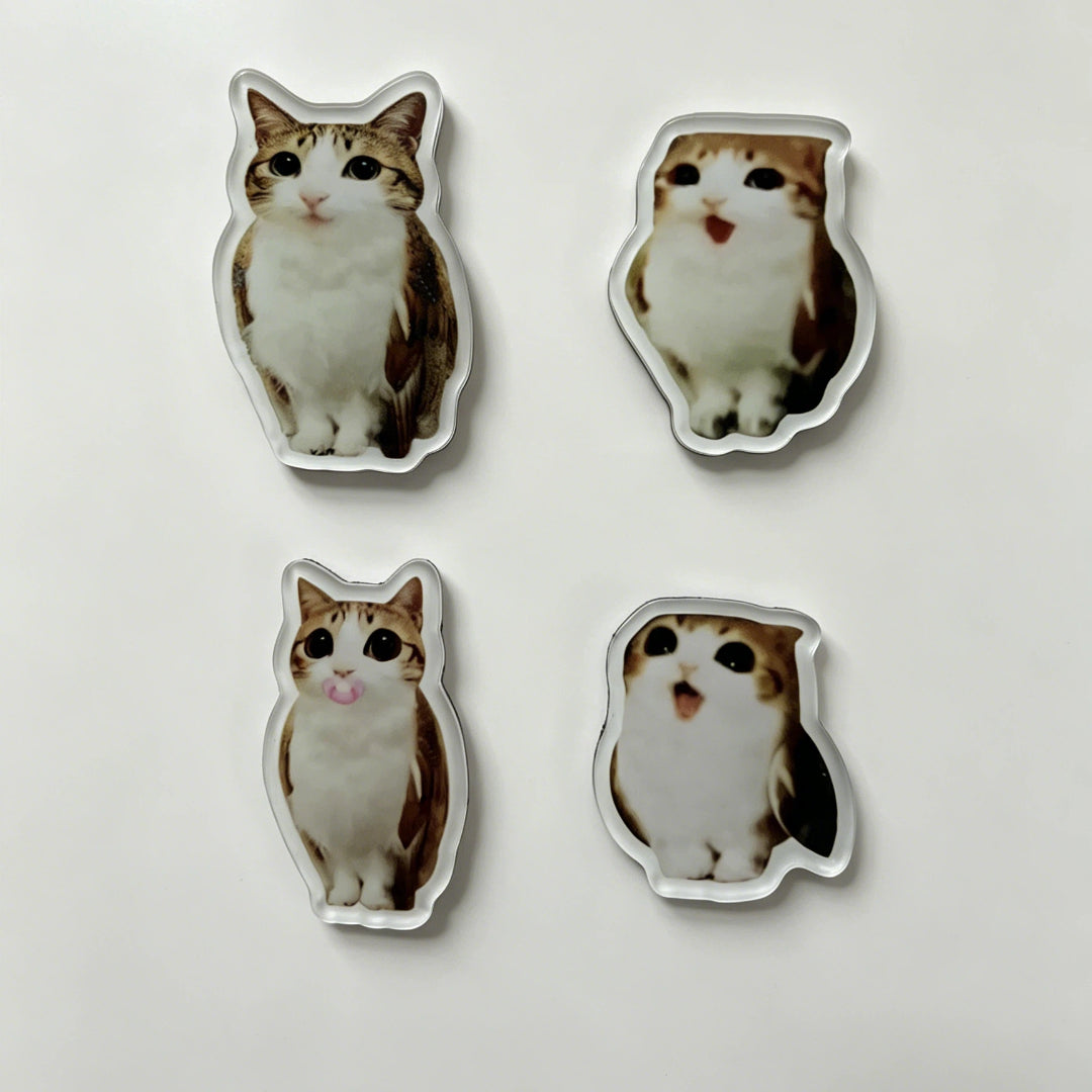 Meowl Series Fridge Magnets（Set of 4）