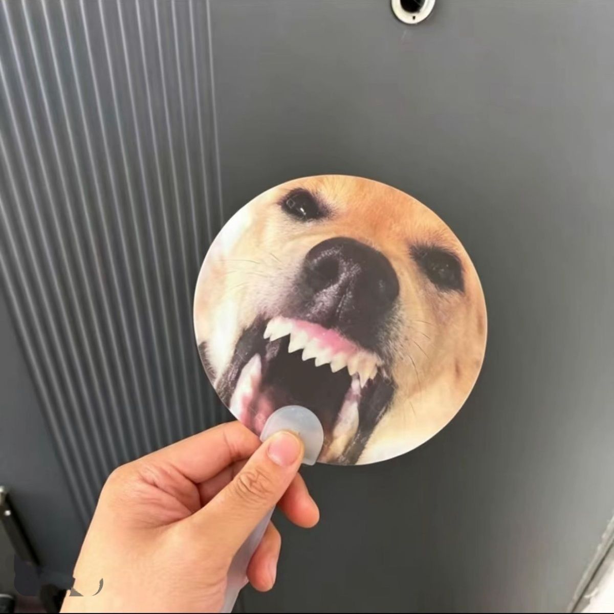 Viral Meme Lenticular Hand Fan | 3D Flip Changing Image Cartoon Meme Fan