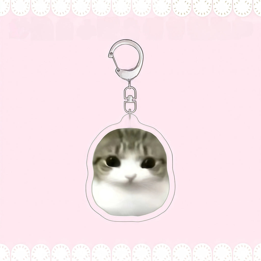 Crispy Triangle Cat Meme Keychain