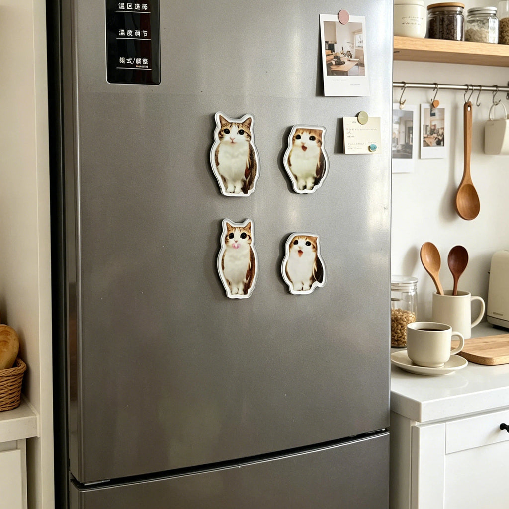 Meowl Series Fridge Magnets（Set of 4）