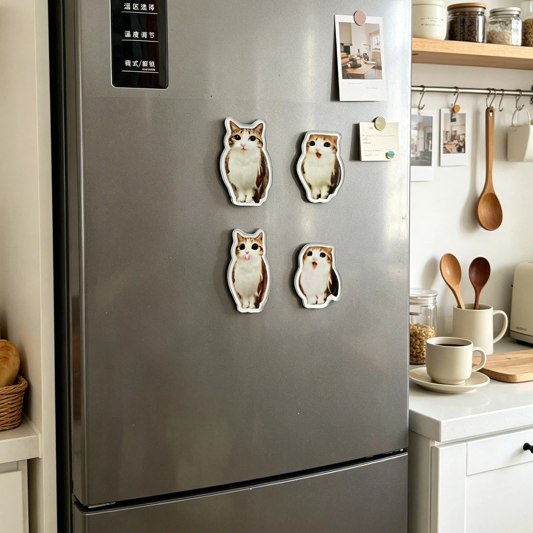 Meowl Series Fridge Magnets（Set of 4）