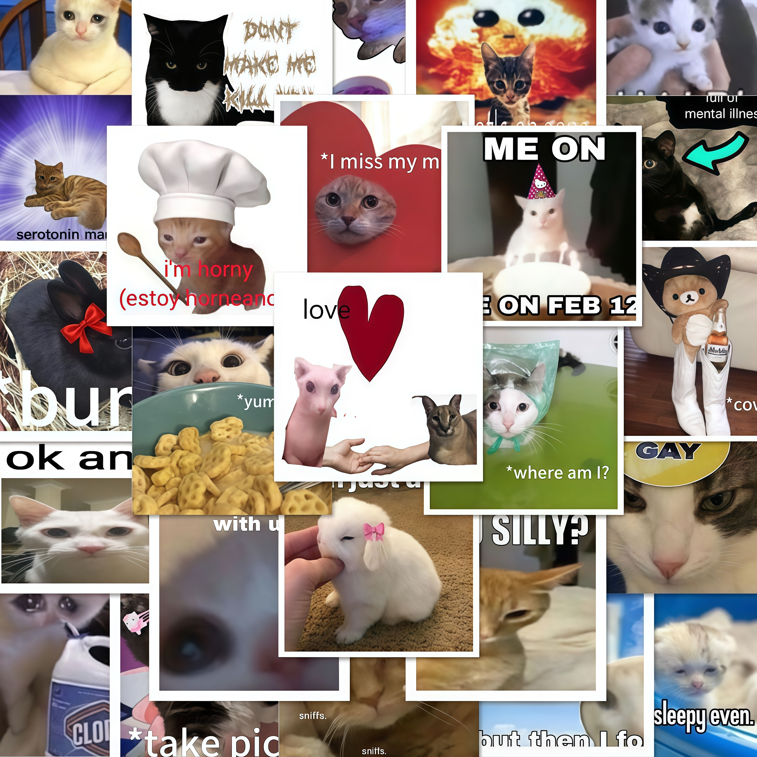 62 funny cat stickers