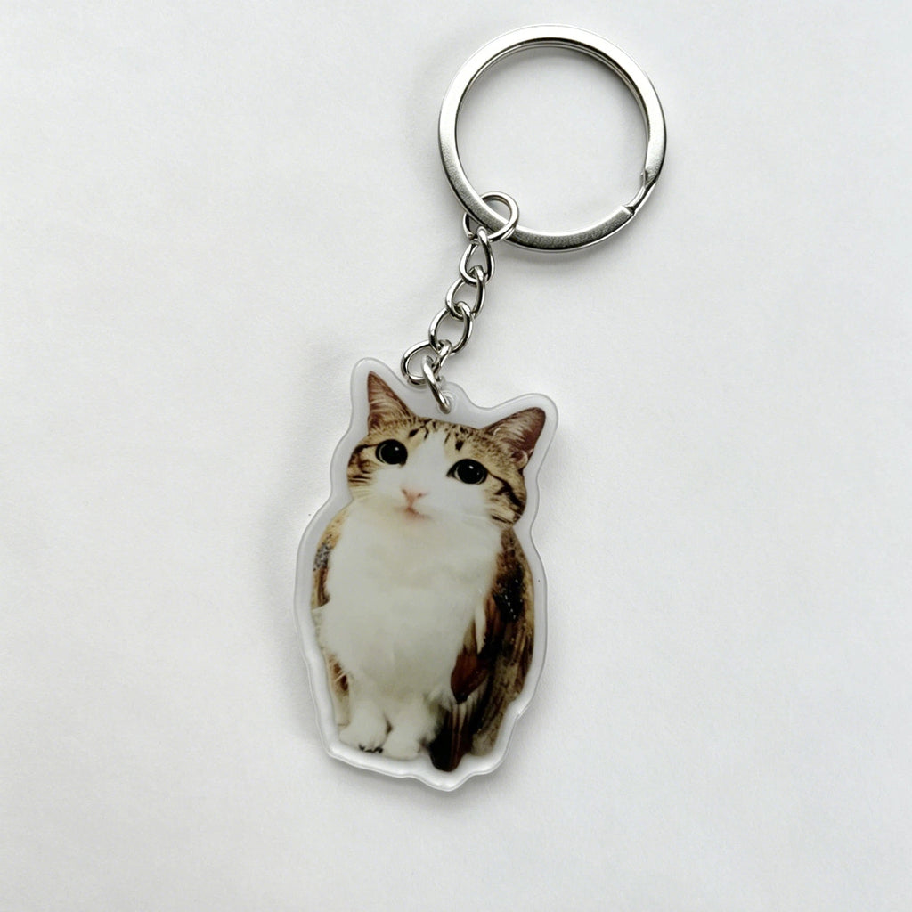 Meowl Series 1 Keychains