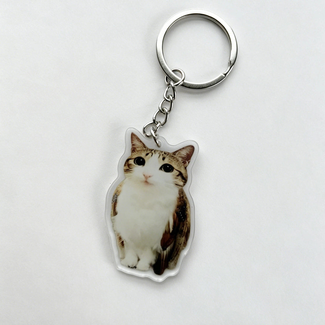 Meowl Series 1 Keychains