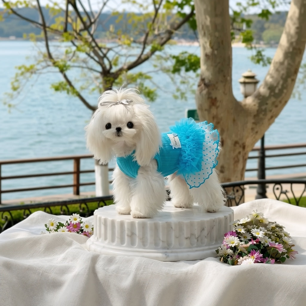 Sweet Blue Mesh Tutu Pet Dress, Soft Knit Princess Outfit for Small Puppies and Cats