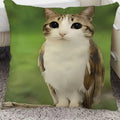 Meowl Meme Double Sided Pillow Cover,（ No Filler）