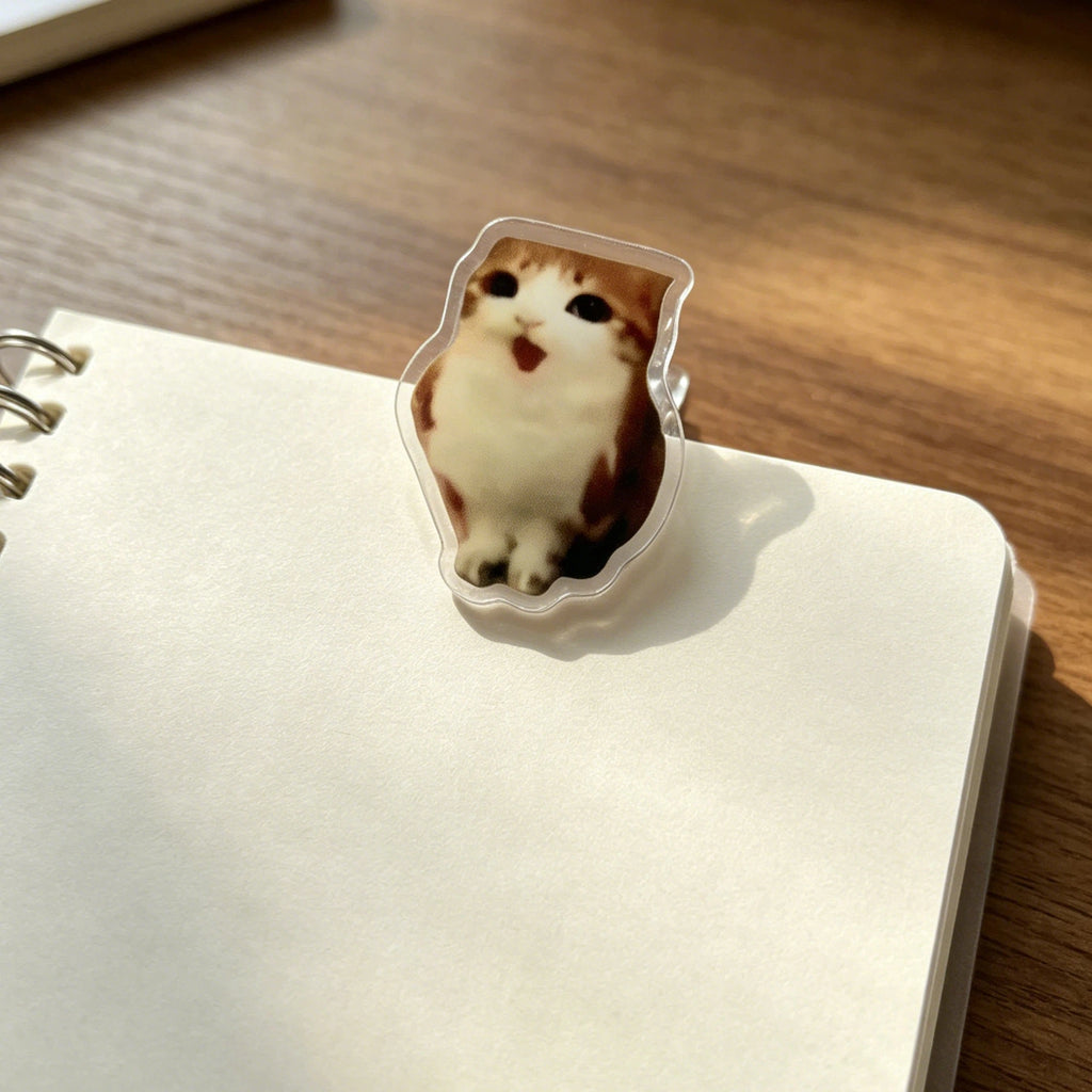 Meowl Series File Folders (Set of 4)
